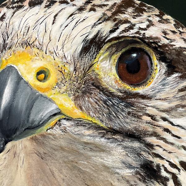 Wanderfalke, Sakerfalke. Acrylgemälde